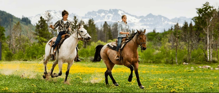 Confident plus-size woman riding Bicester a horse through a field with a smile on her face.